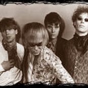 Plasticland - List pictures