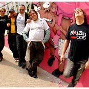 Skiantos - List pictures