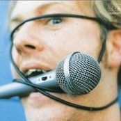 Baby Bird - List pictures