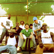 Living Legends - List pictures