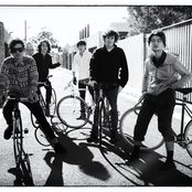 Last Dinosaurs - List pictures