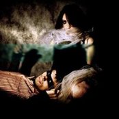 Vena - List pictures