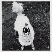 Léon - List pictures