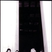 Coma Lilies - List pictures