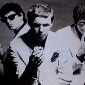 The Peddlers - List pictures