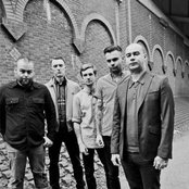 Gallows - List pictures