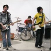 Wombats - List pictures