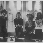 Brand X - List pictures