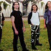 Dr. Sin - List pictures