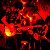 Plastic Flowers - List pictures