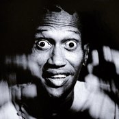 Don Cherry - List pictures