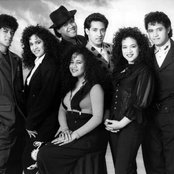 The Jets - List pictures