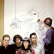 Tigercats - List pictures