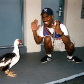 Candiria - List pictures