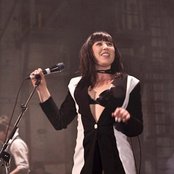 Little Birdy - List pictures