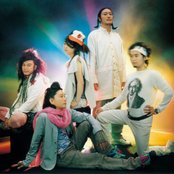 Bonobos - List pictures