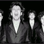 Elefantes - List pictures