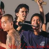 Kamikazee - List pictures