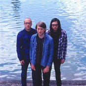 Dinosaur Pile-up - List pictures