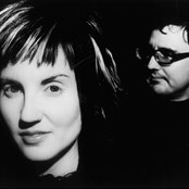 Wild Strawberries - List pictures