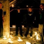 Cadaveres De Tortugas - List pictures