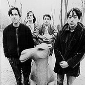 Polvo - List pictures