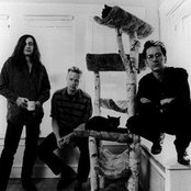 Killdozer - List pictures