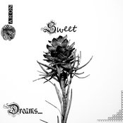 Aaron - List pictures