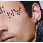 Vena - List pictures