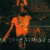 Baby Namboos - List pictures