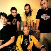 Tagada Jones - List pictures