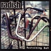 Radish - List pictures