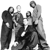 Dave Matthews Band - List pictures