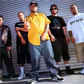 Limp Bizkit - List pictures