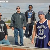 Suicidal Tendencies - List pictures