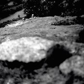 Delicate Steve - List pictures