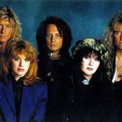 Heart - List pictures