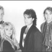 Spoons - List pictures