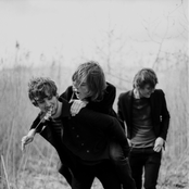 Dewolff - List pictures