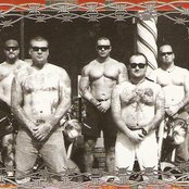 The Voice - List pictures