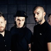 Birdy Nam Nam - List pictures