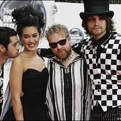 Guillemots - List pictures