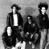 Brocas Helm - List pictures