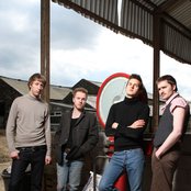 Wild Beasts - List pictures
