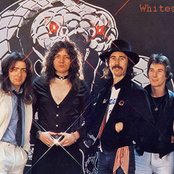 Whitesnake - List pictures