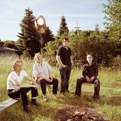 Element Of Crime - List pictures