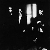Bauhaus - List pictures
