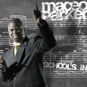 Maceo - List pictures