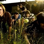 Honor Bright - List pictures