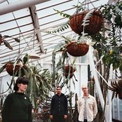 Virginia Wing - List pictures